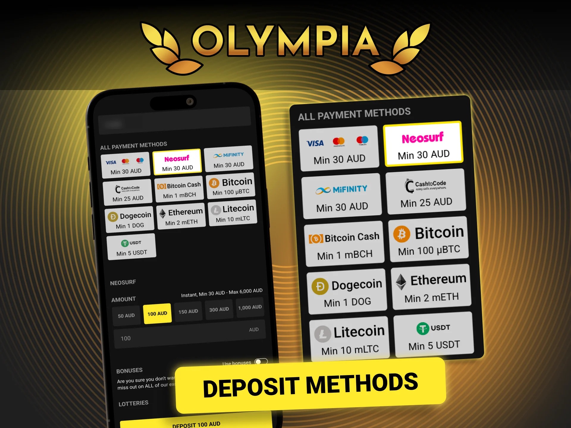 Log in to your Olympia account to access the secure deposit features.